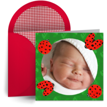Baby Ladybug Photo card image