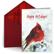 Holiday Cardinal card image