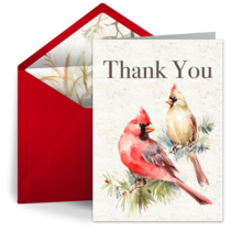 Red Cardinal Thank You card image