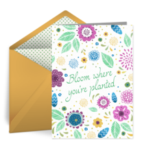 Bloom Where You're Planted card image