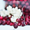 Holiday Decorating with Cranberries