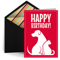 Dogs and Cats card image