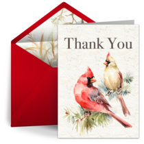 Winter Cardinal Thank You card image