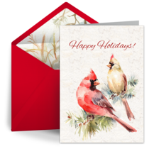 Winter Cardinal Thanks card image