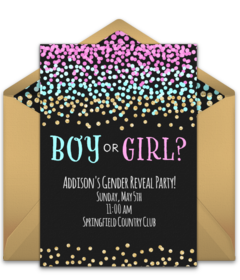 Free Gender Reveal Party Online Invitations Punchbowl