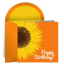Birthday Sunflower card image
