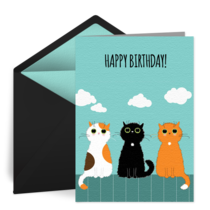 Cool Cat Birthday card image