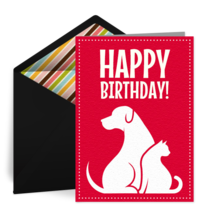 Dogs and Cats Birthday card image