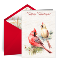 Winter Cardinal Holiday card image