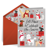 Let's Paws & Celebrate card image